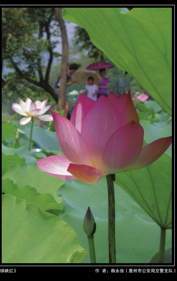 �����й�������������Ʒ